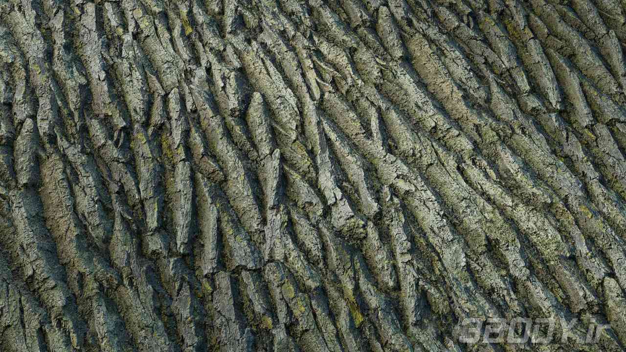 متریال پوست درخت tree bark عکس 1